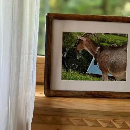 Na Wzgórzu * Ochotnica Dolna